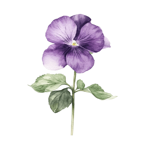 Ideas para tatuajes de flores de nacimiento de febrero: Violetas