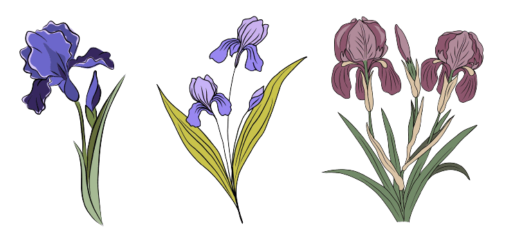 Ideas para tatuajes de flores de nacimiento de febrero: Iris