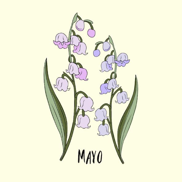 may birth flower