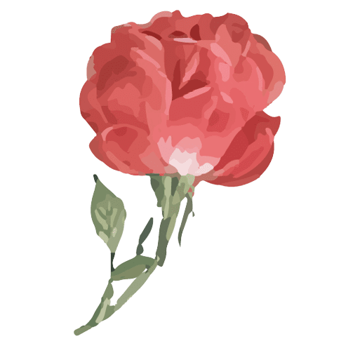 Ideas para tatuajes de flores de nacimiento en junio: Rosas