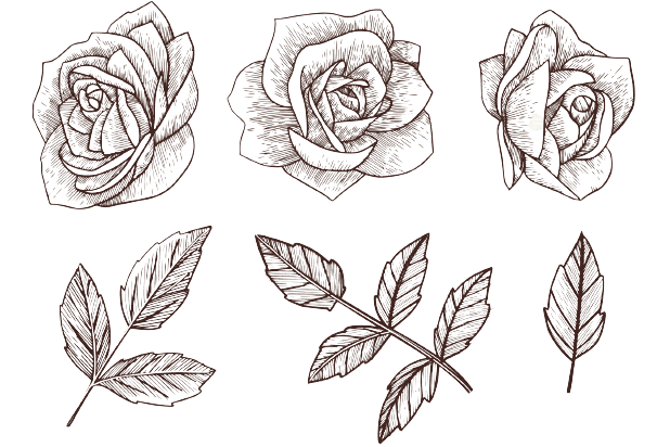 Ideas para tatuajes de flores de nacimiento en junio: Rosas