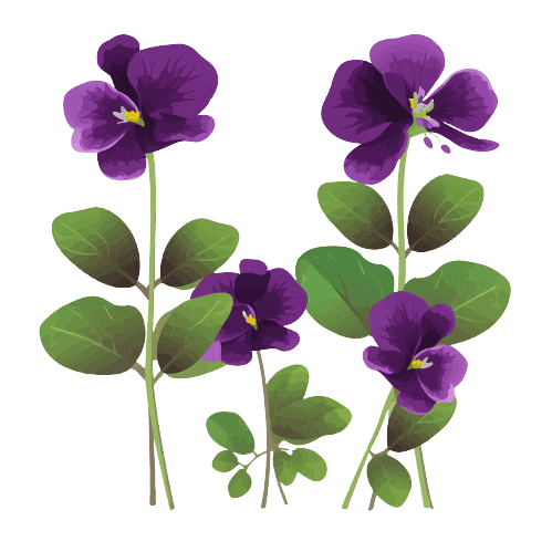 Ideas para tatuajes de flores de nacimiento de febrero: Violetas