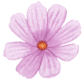 Tatouage de Fleurs de Naissance: Cosmos