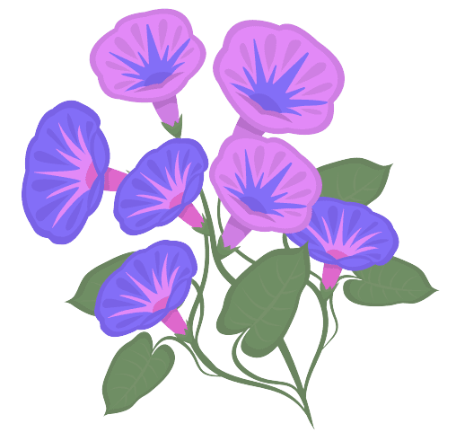 Morning Glory Birth Flower