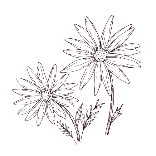  Aster - Tatouage fleur de naissance septembre