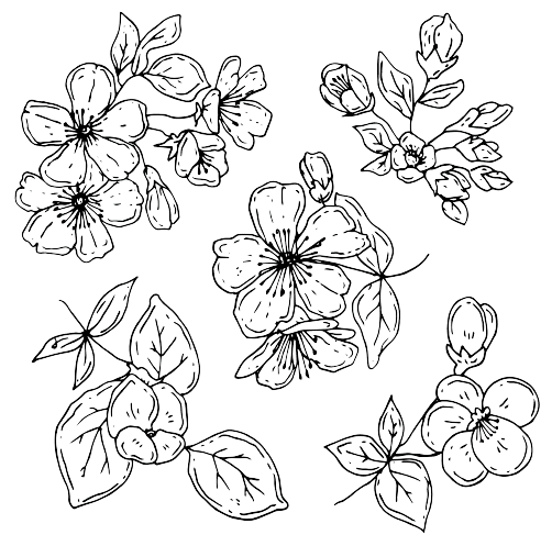 Fleur de Cerisier Tatouage fleur de naissance mars