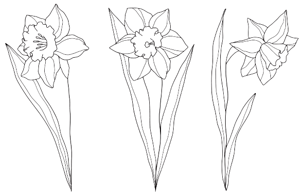 Jonquille Tatouage fleur de naissance mars