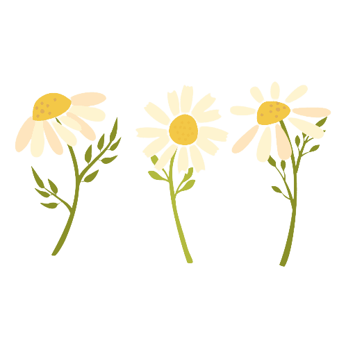 Fleur de naissance d'avril tatouage marguerite