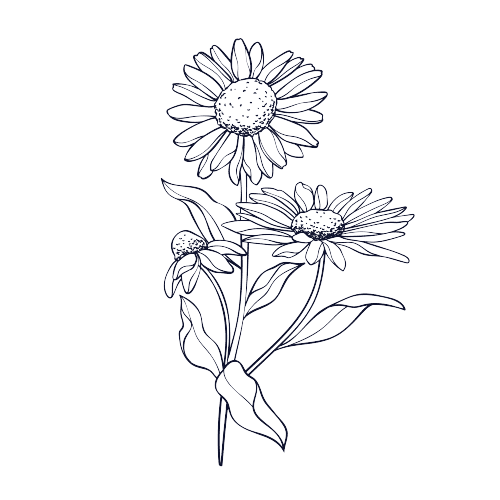 Fleur de naissance d'avril tatouage marguerite