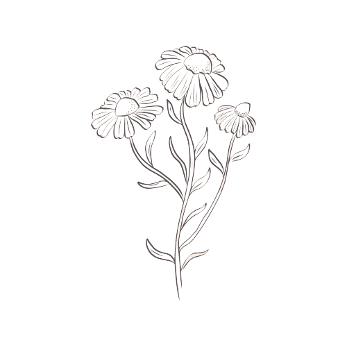 Fleur de naissance d'avril tatouage marguerite