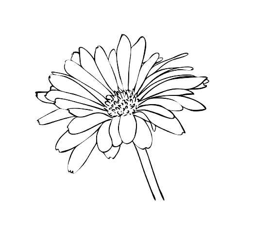 Fleur de naissance d'avril tatouage marguerite