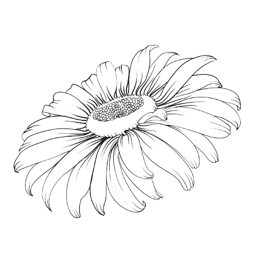 Fleur de naissance d'avril tatouage marguerite