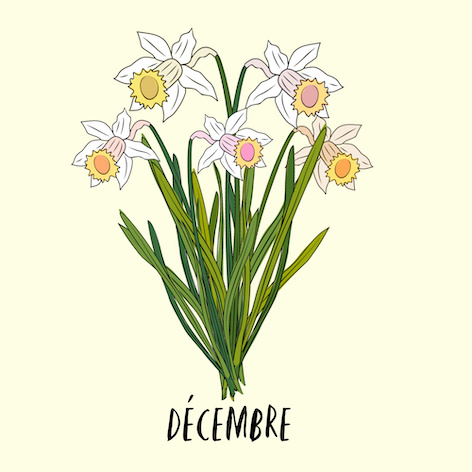 Décembre Fleurs de Naissance