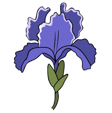Iris Head