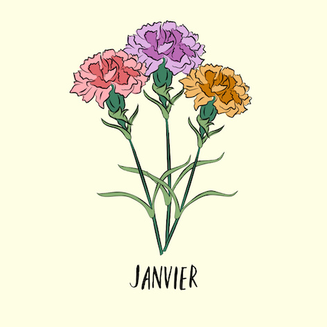 Janvier Fleurs de Naissance
