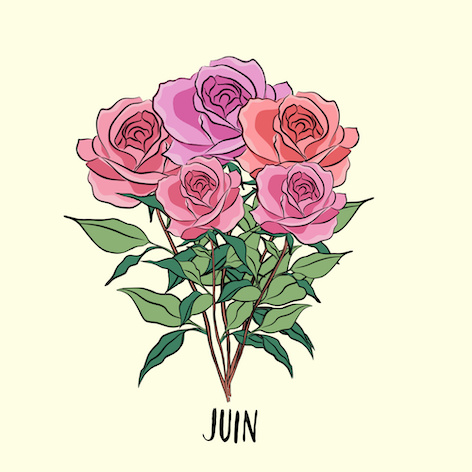 Juin Fleurs de Naissance