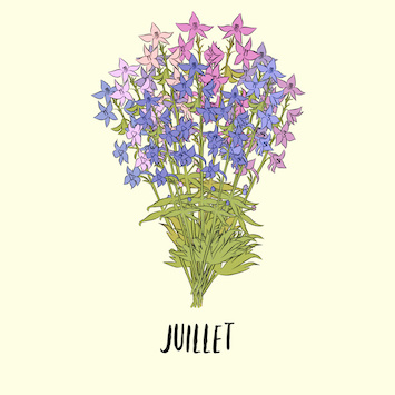 juillet Fleurs de Naissance