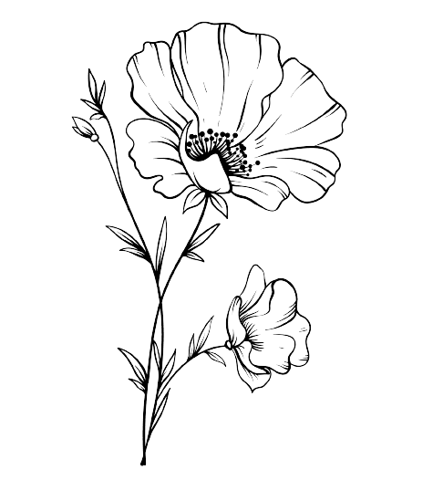 Tatouage fleur de naissance août coquelicot