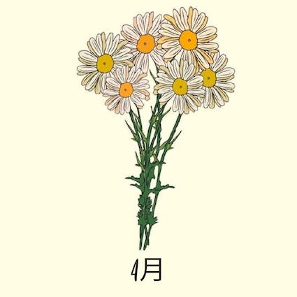 april birth flower