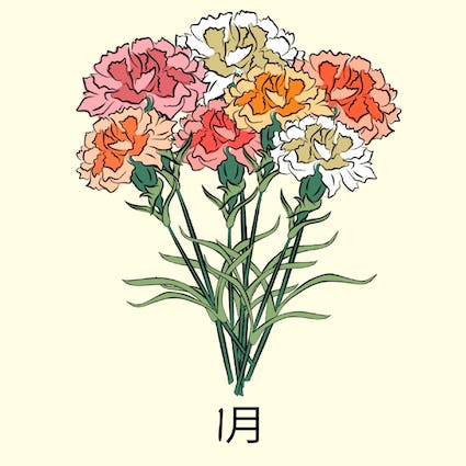january birth flower