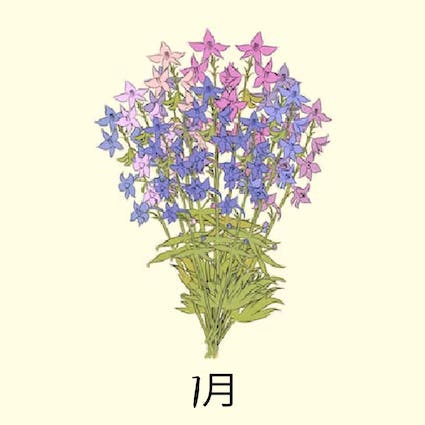 july birth flower