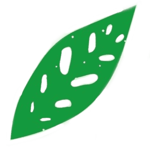 誕生花のイメージ