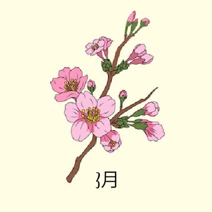 march birth flower