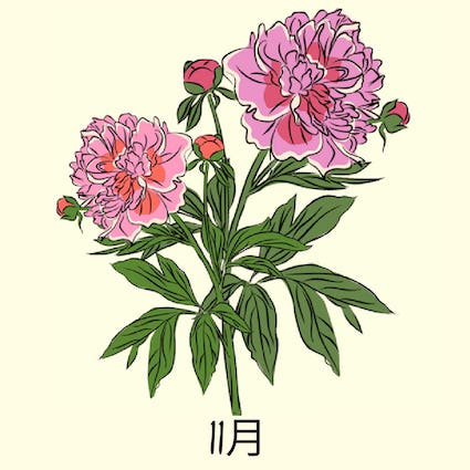november birth flower
