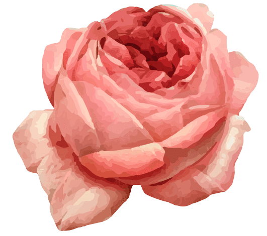 ローズ 6月の誕生花タトゥーのアイデア： バラ