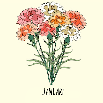 january Geboortebloem