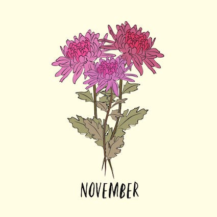 november Geboortebloem