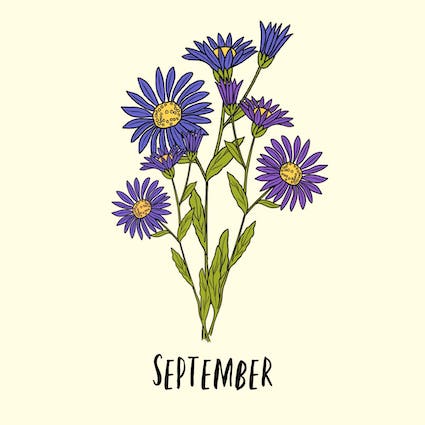 september Geboortebloem