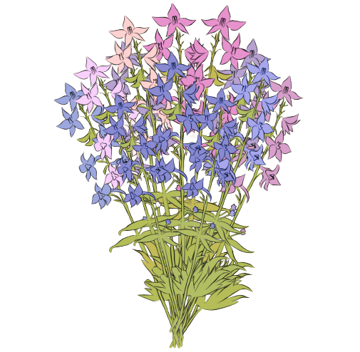 Delphinium July Birth Flower