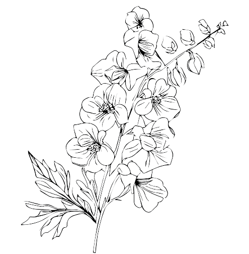 Delphinium July Birth Flower Tattoo