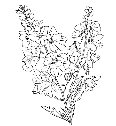 Delphinium July Birth Flower Tattoo